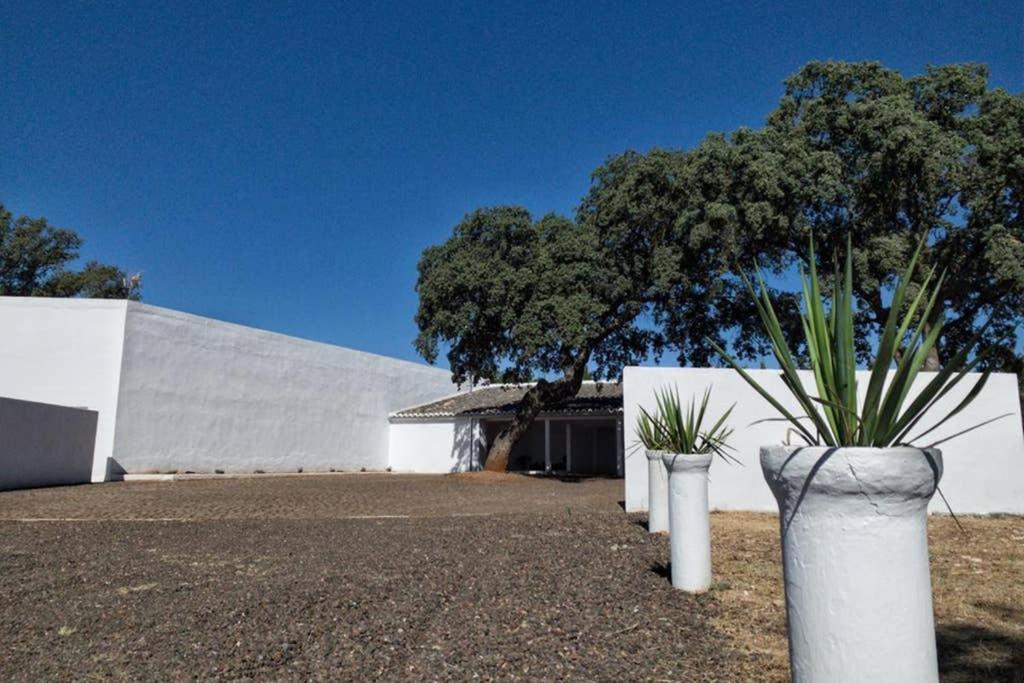 Casa Del Principe Villa Daimiel Eksteriør billede