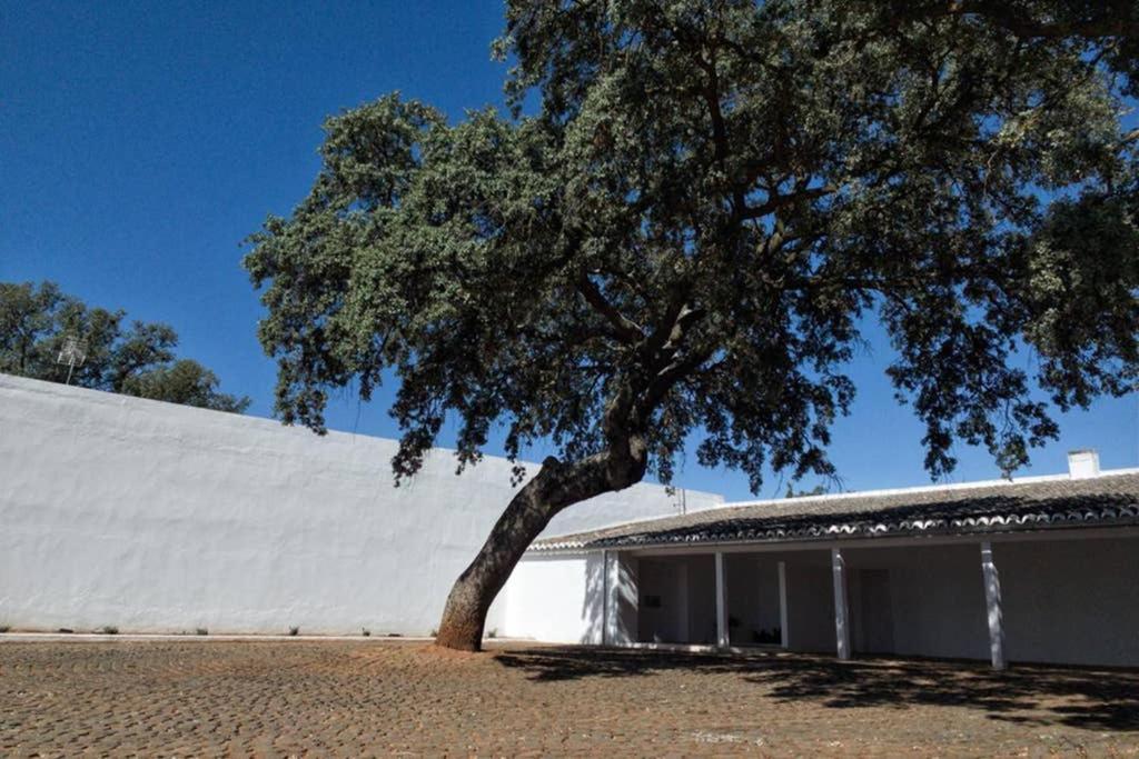 Casa Del Principe Villa Daimiel Eksteriør billede